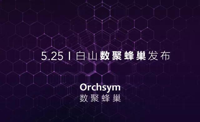 白山发布“数聚蜂巢Orchsym”，强力赋能政企数字化转型